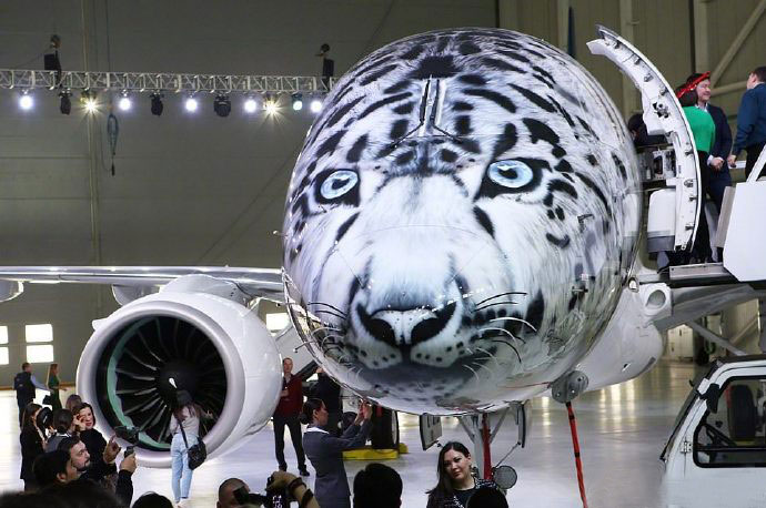 飛機車身貼涂裝